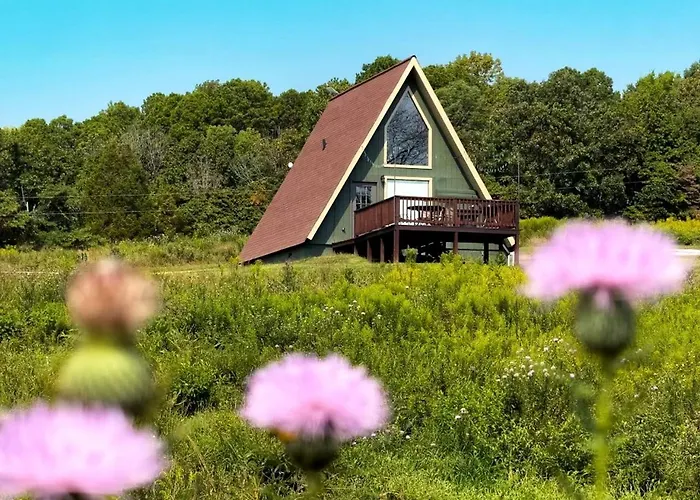 Breathtaking A-frame With Impressive Nature Views In Carbondale, Illinois *
